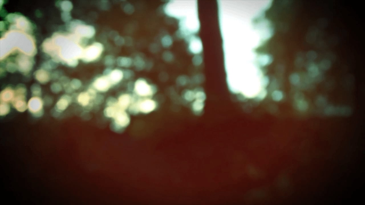Screenshot of a forest out of focus