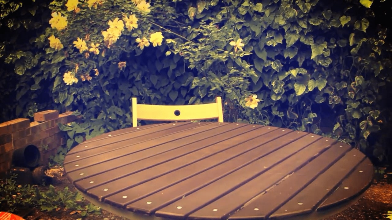 Screenshot of a forest out of focus