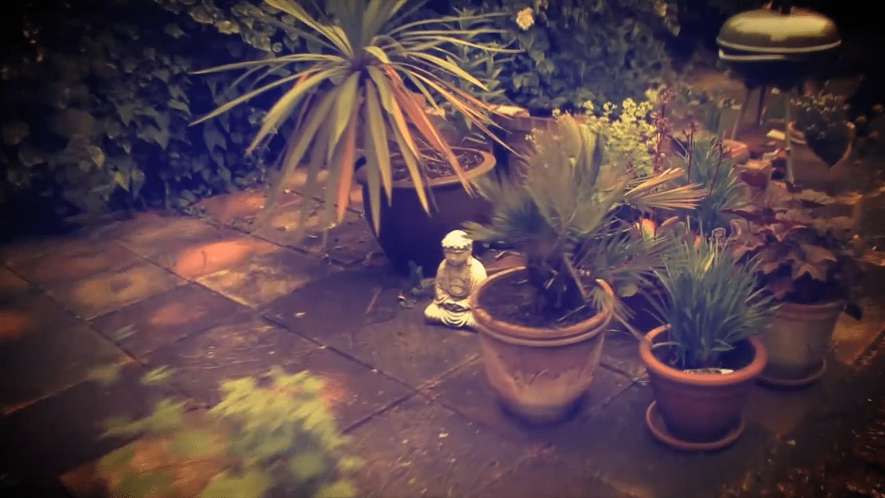 Screenshot of a forest out of focus